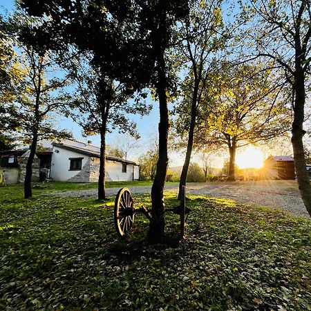 Ovostolai Cottage Fonni Exteriör bild