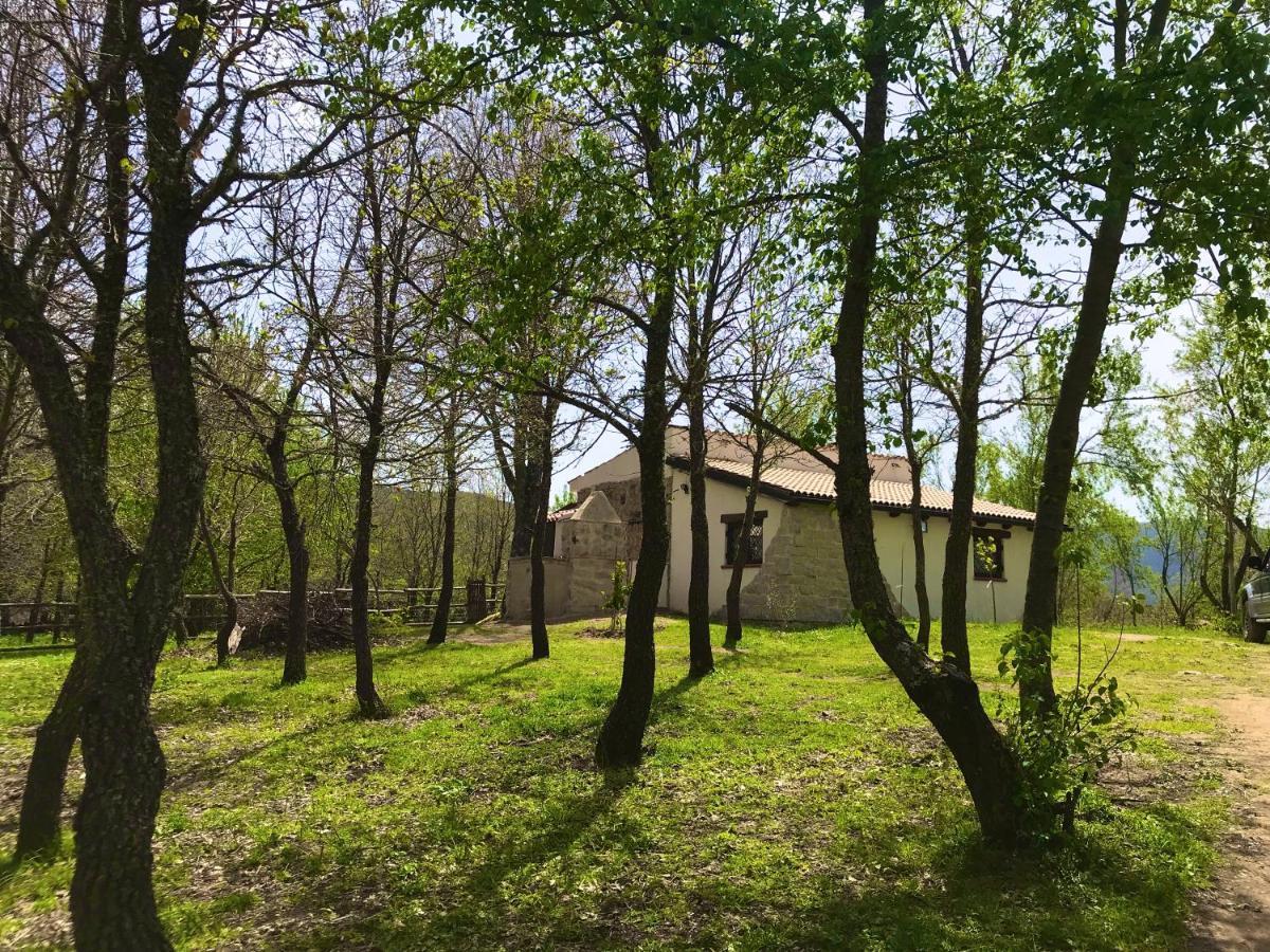 Ovostolai Cottage Fonni Exteriör bild