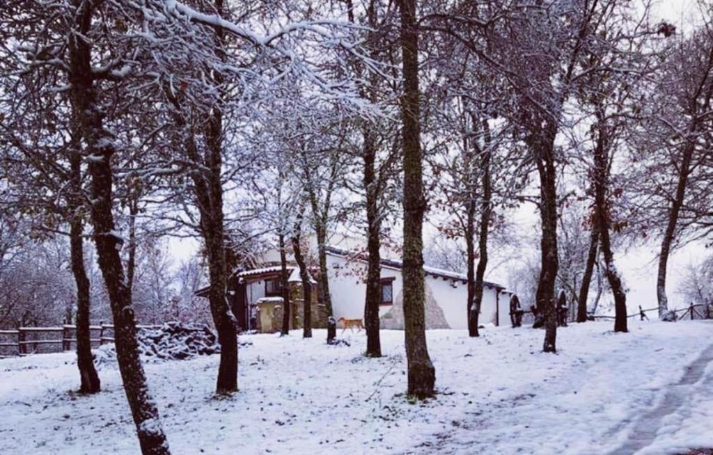 Ovostolai Cottage Fonni Exteriör bild