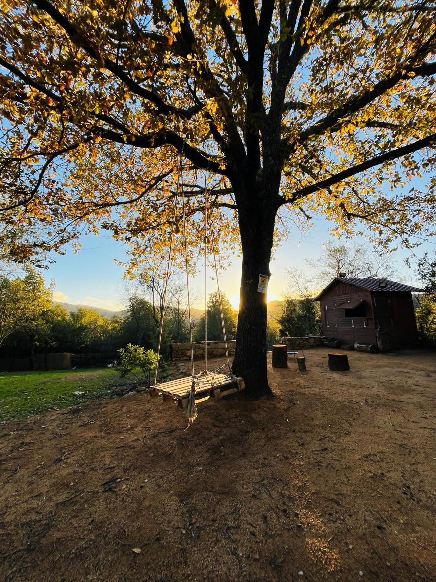 Ovostolai Cottage Fonni Exteriör bild