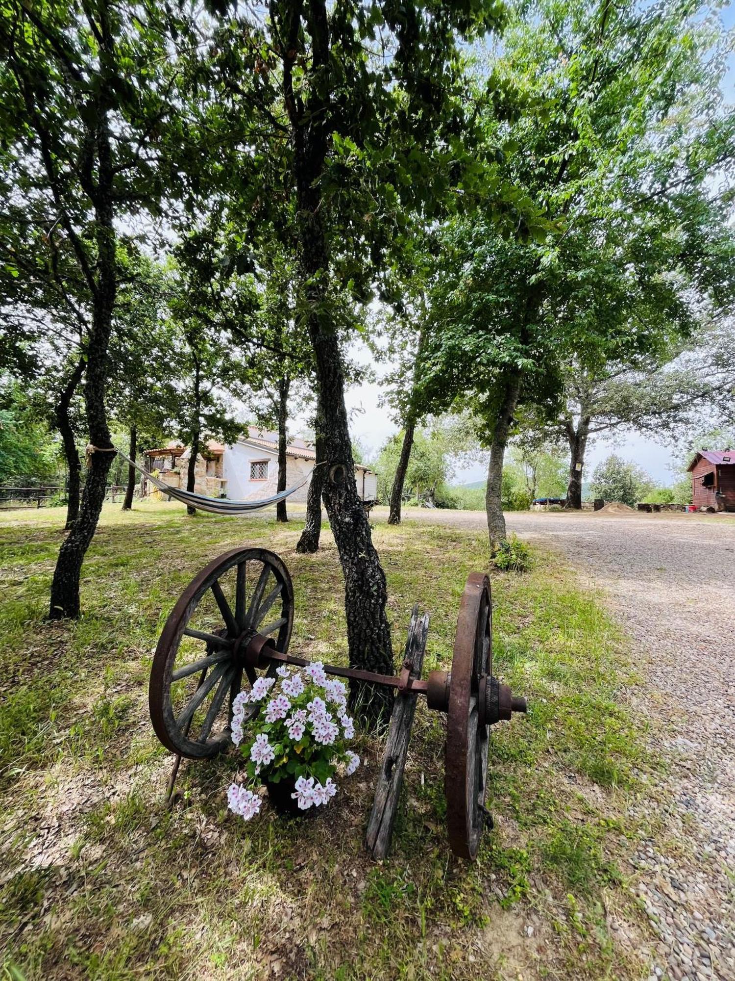 Ovostolai Cottage Fonni Exteriör bild